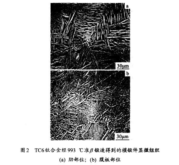 TC6鈦合金經(jīng)993℃準(zhǔn)β鍛造得到的模鍛件顯微組織(a) 肋部位；(b) 腹板部位