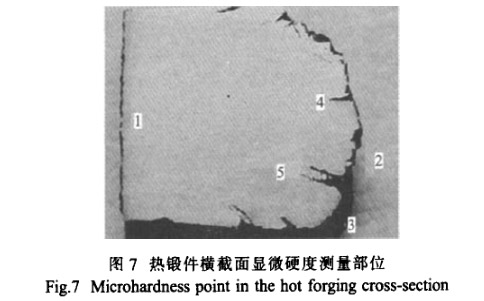 熱鍛件橫截面顯微硬度測量部位