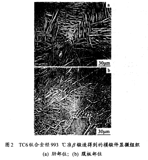 TC6鈦合金經(jīng)993 ℃準(zhǔn)鍛造得到的模鍛件顯微組織(a) 肋部位；(b) 腹板部位