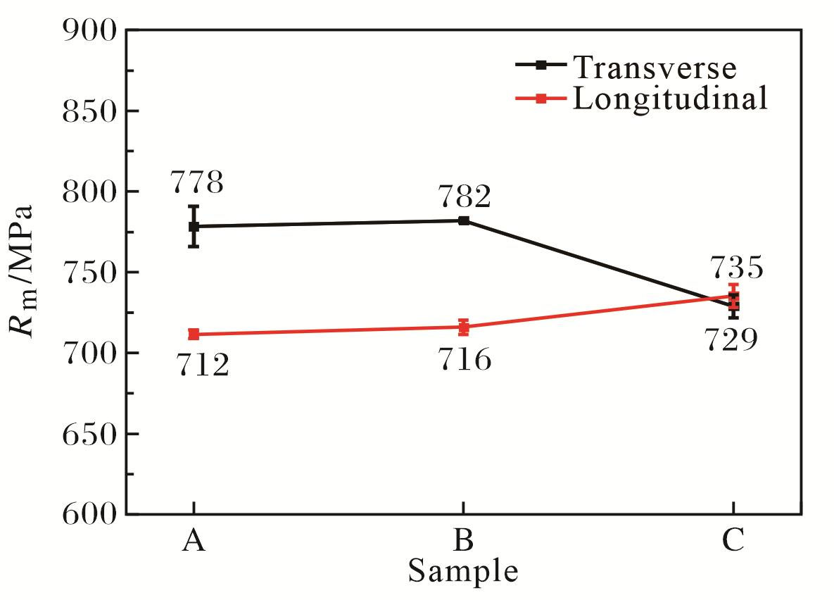 t3.jpg