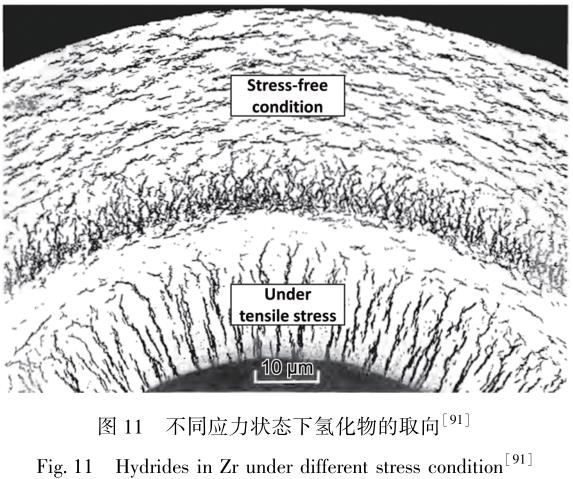 360截圖16200706756872.jpg